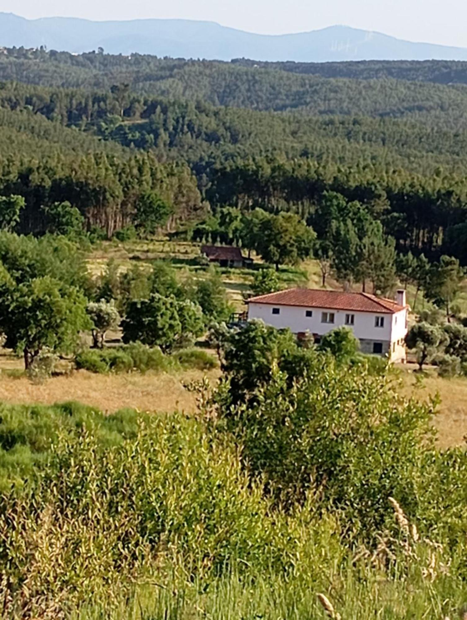 Bed and Breakfast Quinta Da Barroca Do Cabo Azere  Экстерьер фото